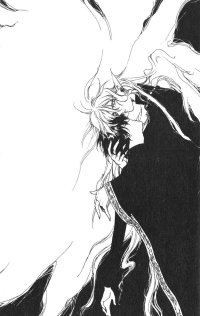 BUY NEW yami no matsuei - 131911 Premium Anime Print Poster